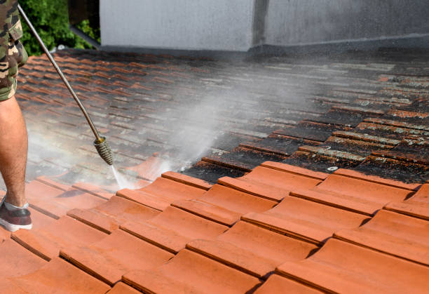 Why Choose Our Certified Pressure Washing Experts for Your Project Needs in Schofield Barracks, HI?